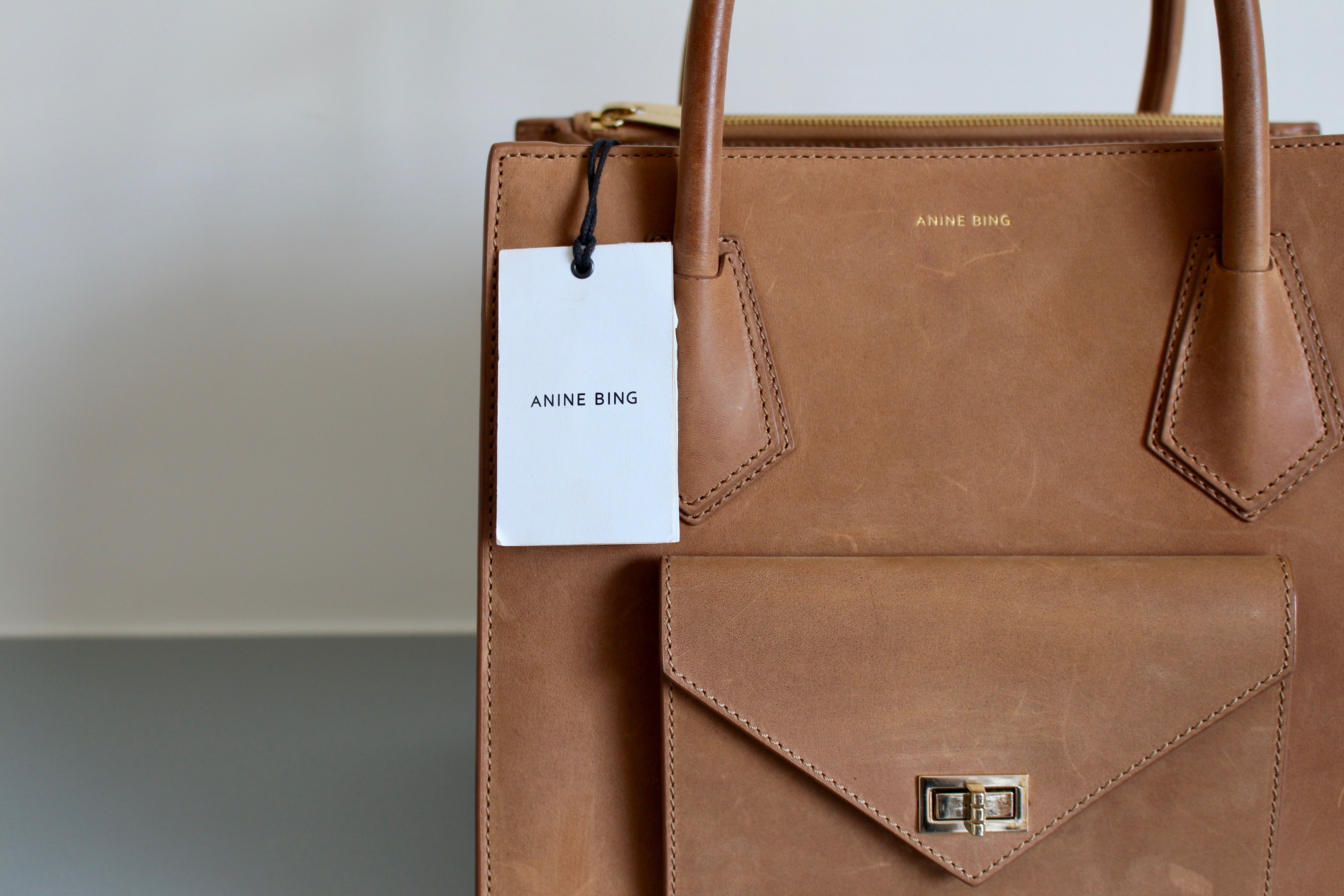 Anine Bing Madison Bag