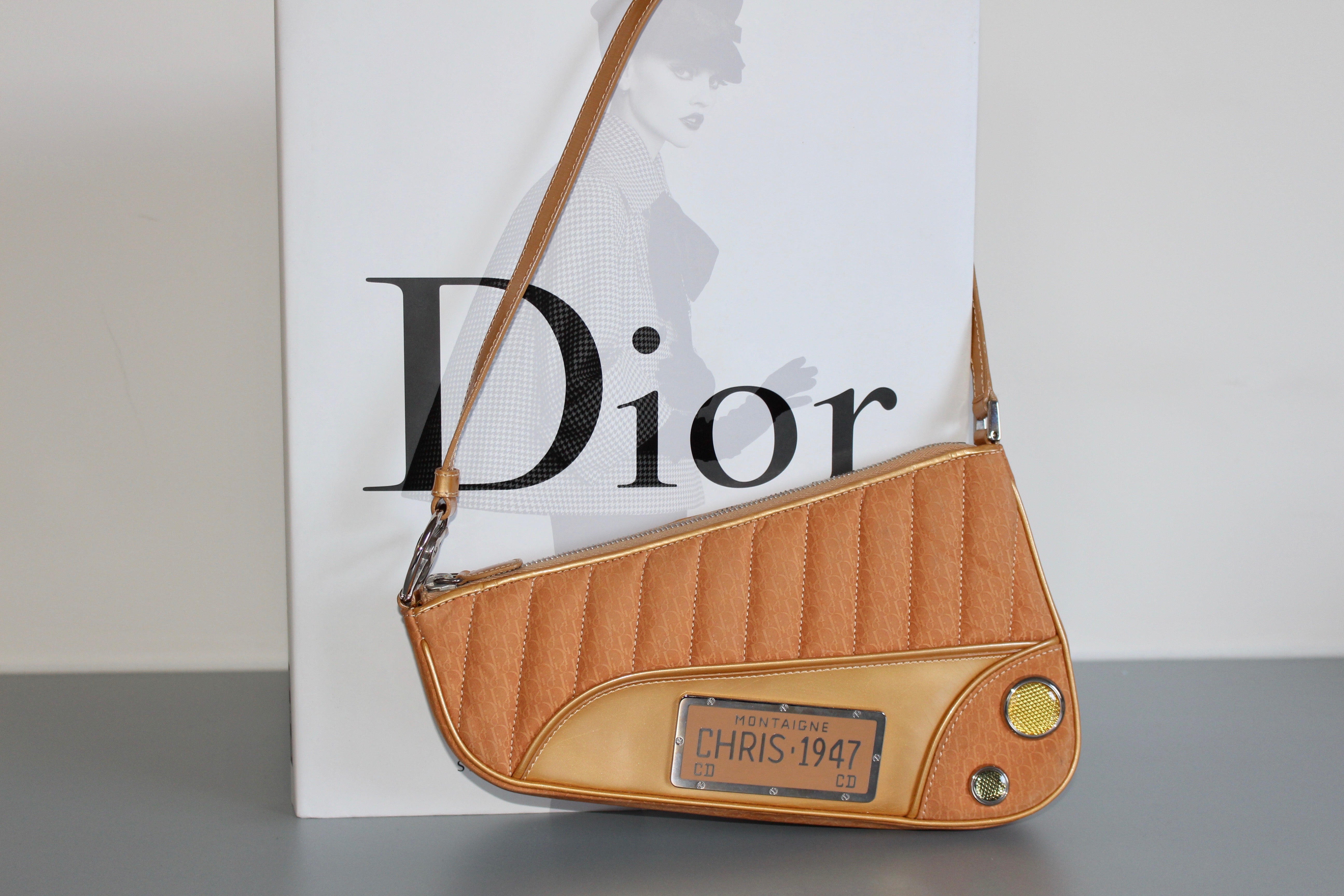Battle For Today's It Bag Title: Christian Dior The Saddle vs